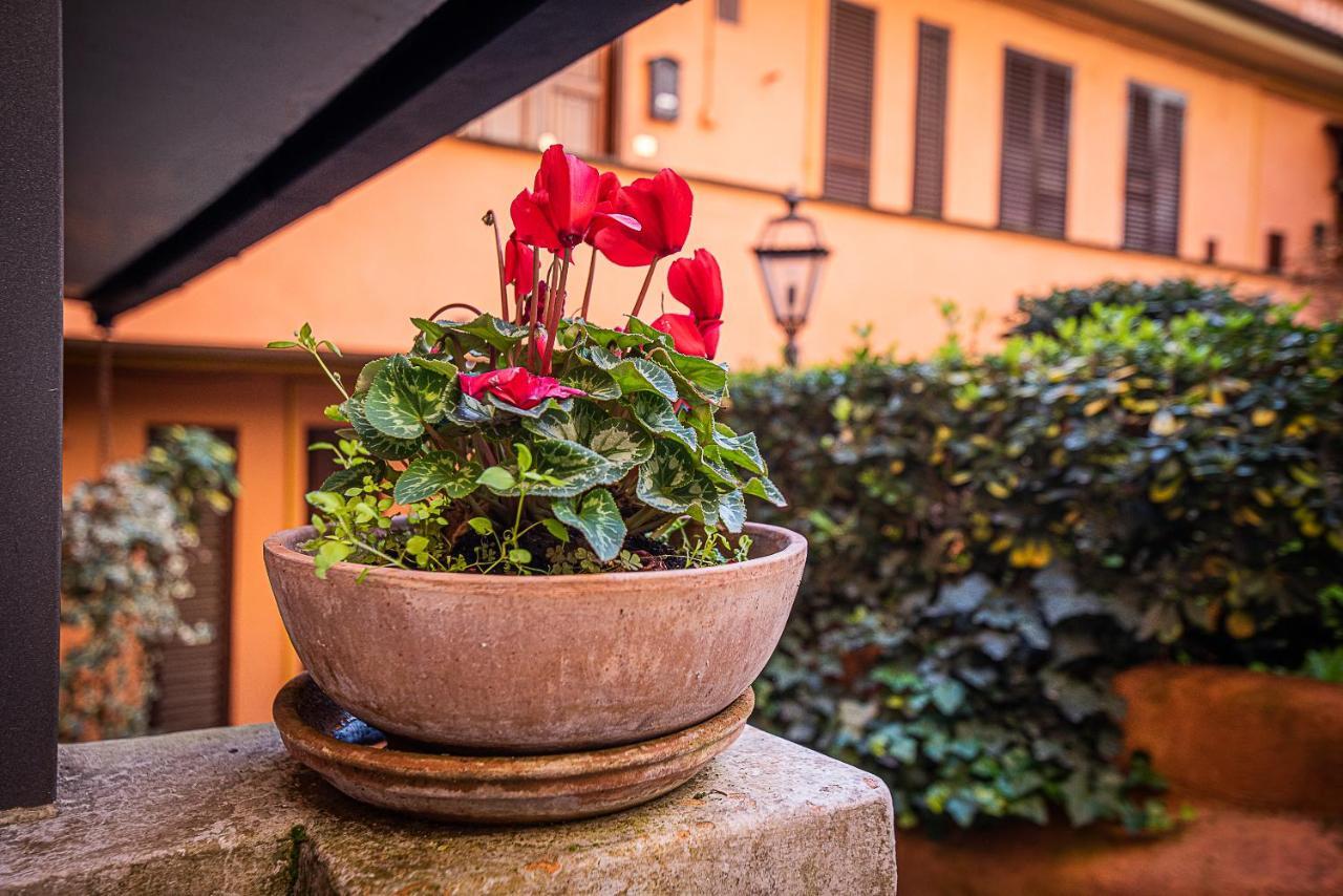 Apartamento Cosy In The Greenest Corner Of Trastevere