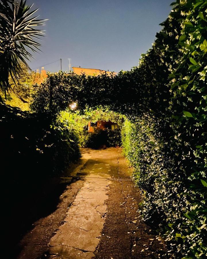 Cosy In The Greenest Corner Of Trastevere Apartamento Roma